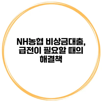 NH농협 비상금대출, 급전이 필요할 때의 해결책