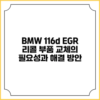 BMW 116d EGR 리콜: 부품 교체의 필요성과 해결 방안