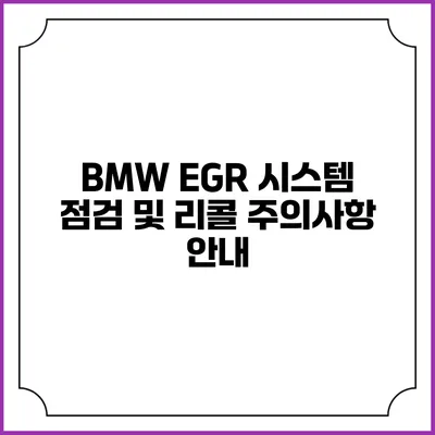 BMW EGR 시스템 점검 및 리콜 주의사항 안내