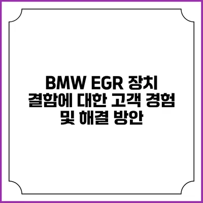 BMW EGR 장치 결함에 대한 고객 경험 및 해결 방안