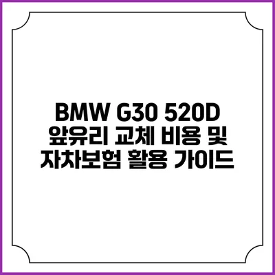 BMW G30 520D 앞유리 교체 비용 및 자차보험 활용 가이드