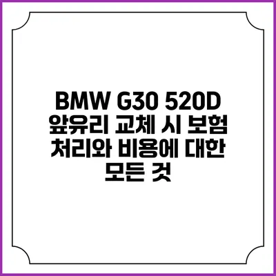 BMW G30 520D 앞유리 교체 시 보험 처리와 비용에 대한 모든 것