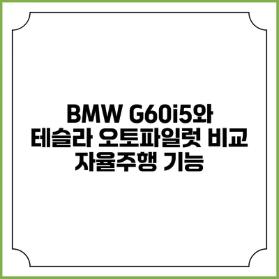 BMW G60/i5와 테슬라 오토파일럿 비교 자율주행 기능
