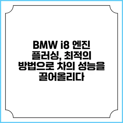 BMW i8 엔진 플러싱, 최적의 방법으로 차의 성능을 끌어올리다