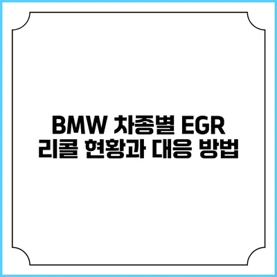 BMW 차종별 EGR 리콜 현황과 대응 방법