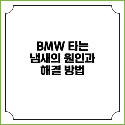 BMW 타는 냄새의 원인과 해결 방법