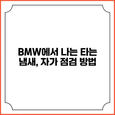 BMW에서 나는 타는 냄새, 자가 점검 방법