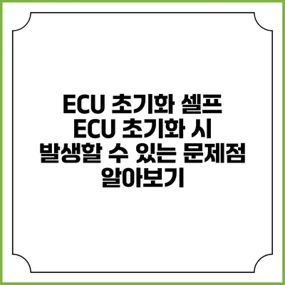 ECU 초기화: 셀프 ECU 초기화 시 발생할 수 있는 문제점 알아보기