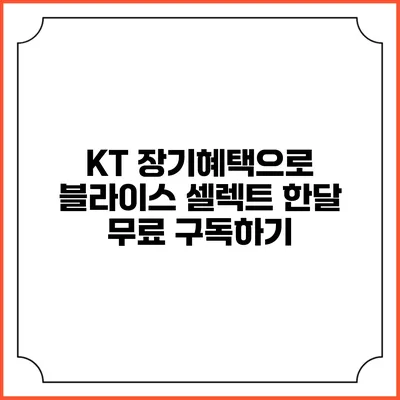 KT 장기혜택으로 블라이스 셀렉트 한달 무료 구독하기