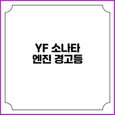 YF 소나타 엔진 경고등