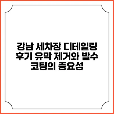 강남 세차장 디테일링 후기: 유막 제거와 발수 코팅의 중요성
