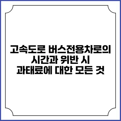 고속도로 버스전용차로의 시간과 위반 시 과태료에 대한 모든 것