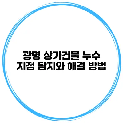 광명 상가건물 누수 지점 탐지와 해결 방법
