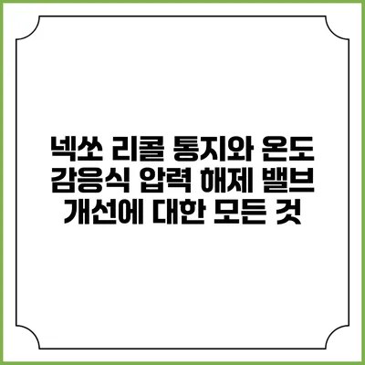 넥쏘 리콜 통지와 온도 감응식 압력 해제 밸브 개선에 대한 모든 것