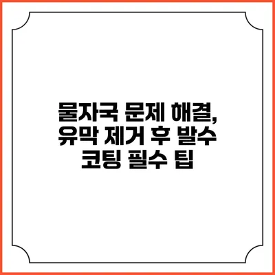 물자국 문제 해결, 유막 제거 후 발수 코팅 필수 팁
