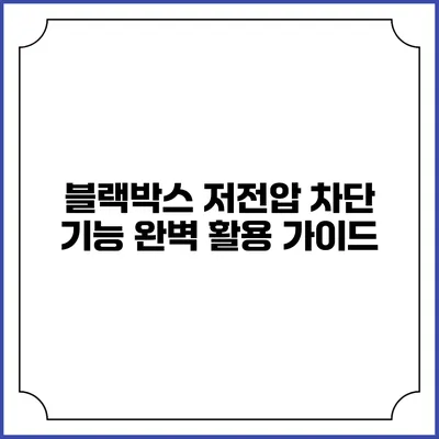 블랙박스 저전압 차단 기능 완벽 활용 가이드