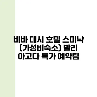 비바 대시 호텔 스미냑 (가성비숙소) 발리 아고다 특가 예약팁