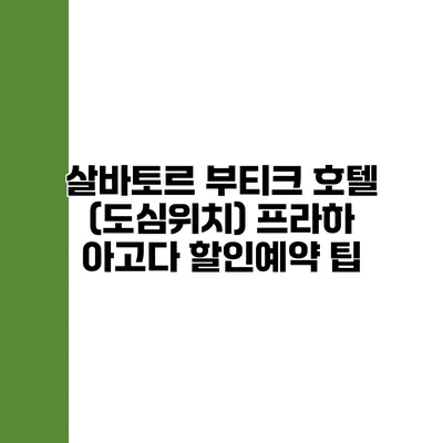 살바토르 부티크 호텔 (도심위치) 프라하 아고다 할인예약 팁
