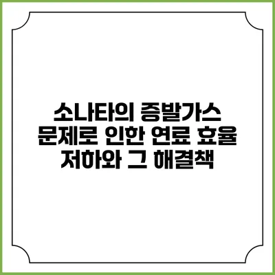 소나타의 증발가스 문제로 인한 연료 효율 저하와 그 해결책