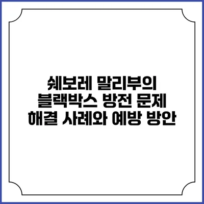 쉐보레 말리부의 블랙박스 방전 문제 해결 사례와 예방 방안