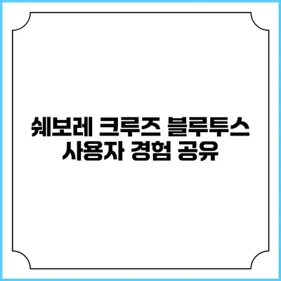 쉐보레 크루즈 블루투스 사용자 경험 공유