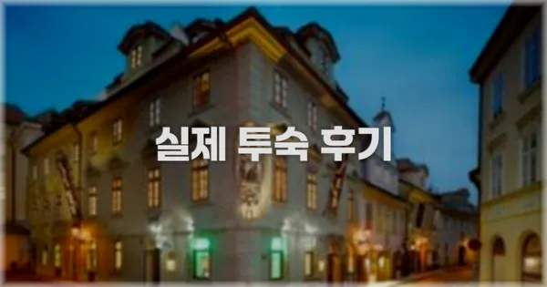 💬 실제 투숙 후기