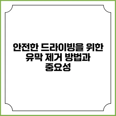 안전한 드라이빙을 위한 유막 제거 방법과 중요성