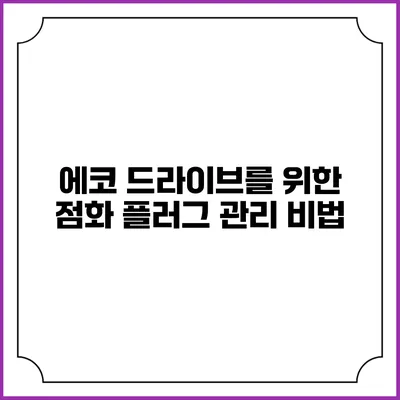 에코 드라이브를 위한 점화 플러그 관리 비법
