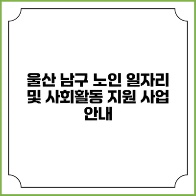 울산 남구 노인 일자리 및 사회활동 지원 사업 안내