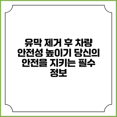 유막 제거 후 차량 안전성 높이기: 당신의 안전을 지키는 필수 정보