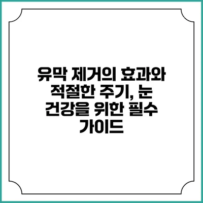 유막 제거의 효과와 적절한 주기, 눈 건강을 위한 필수 가이드
