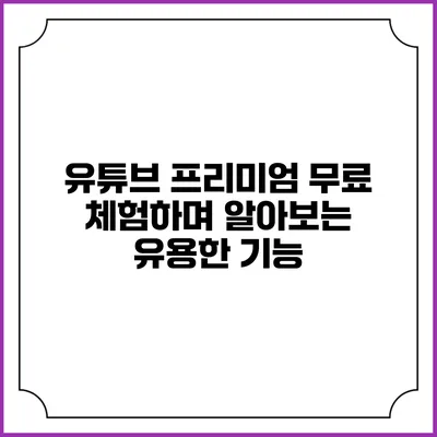 유튜브 프리미엄 무료 체험하며 알아보는 유용한 기능