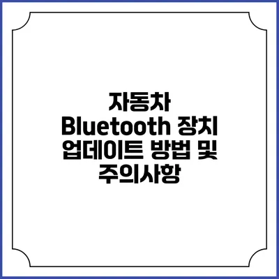 자동차 Bluetooth 장치 업데이트 방법 및 주의사항