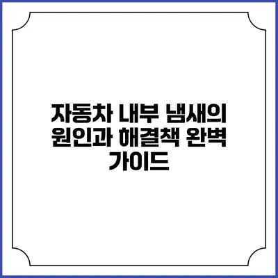 자동차 내부 냄새의 원인과 해결책 완벽 가이드