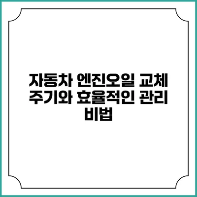 자동차 엔진오일 교체 주기와 효율적인 관리 비법