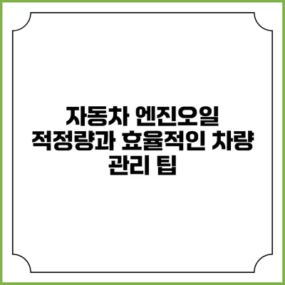 자동차 엔진오일 적정량과 효율적인 차량 관리 팁