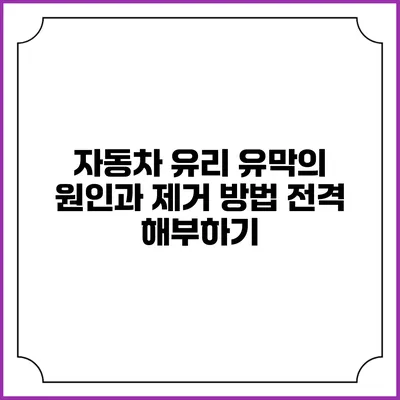 자동차 유리 유막의 원인과 제거 방법 전격 해부하기