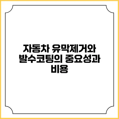 자동차 유막제거와 발수코팅의 중요성과 비용