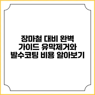 장마철 대비 완벽 가이드: 유막제거와 발수코팅 비용 알아보기