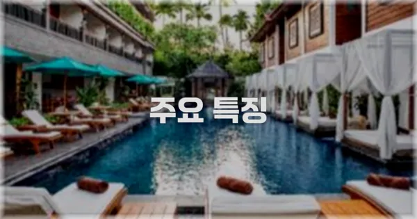 ✨ 주요 특징