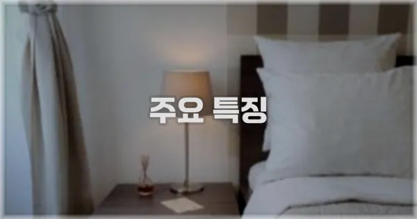 ✨ 주요 특징