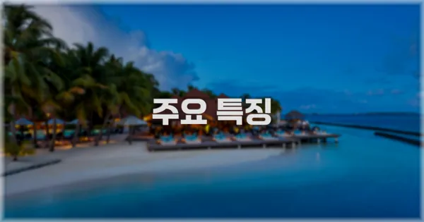 ✨ 주요 특징