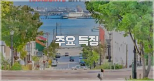 ✨ 주요 특징
