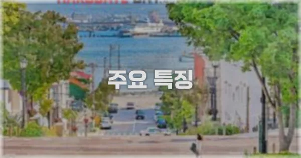 ✨ 주요 특징