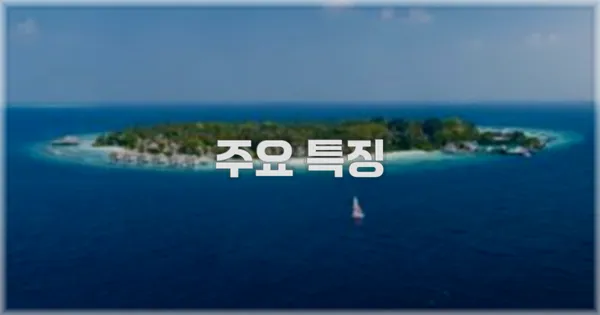 ✨ 주요 특징