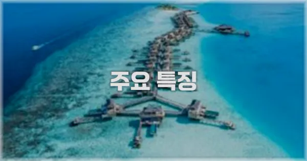 ✨ 주요 특징