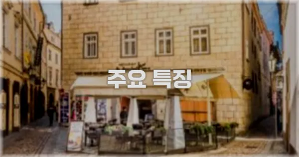 ✨ 주요 특징