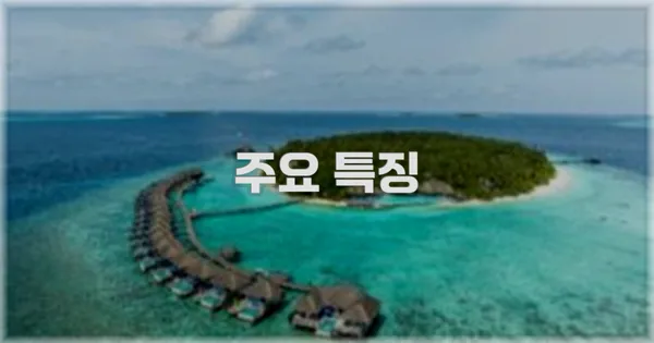 ✨ 주요 특징