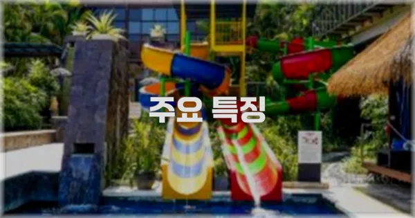 ✨ 주요 특징