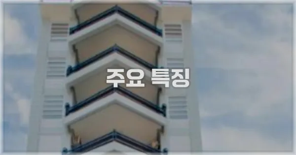 ✨ 주요 특징